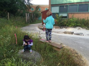 journaling in wetlands on bench