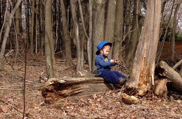 Eastern Ridge School toddler in woods