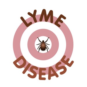 Lyme banner