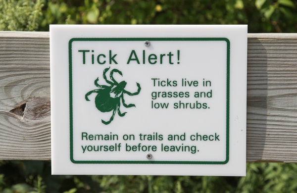 Lyme Disease: An Epidemic