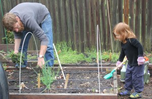 working in the garden