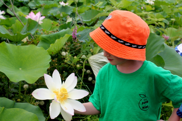 Kenilworth Aquatic Gardens child with lotus