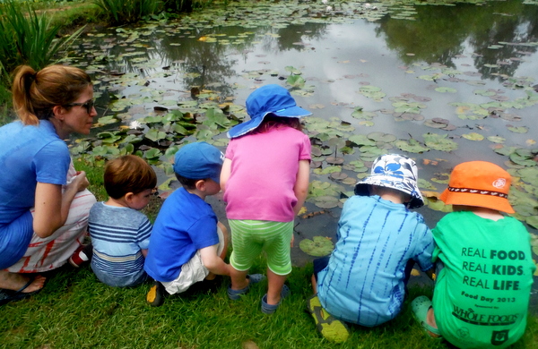 Kenilworth Aquatic Gardens looking for wildlife