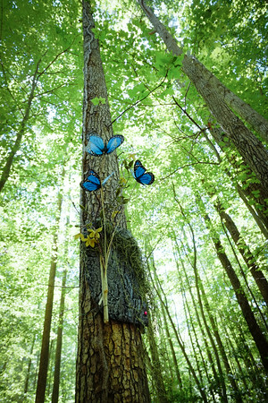 Annmarie Sculpture Garden butterfly