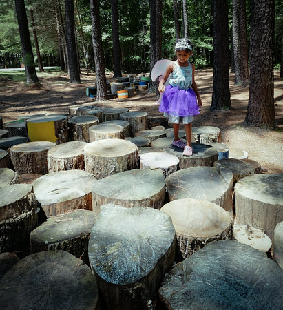 Annmarie Sculpture Garden tree stumps