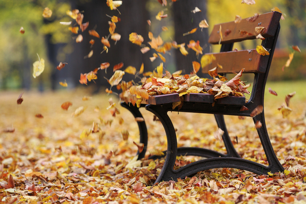 How to find balance during fall, the Ayurvedic vata season