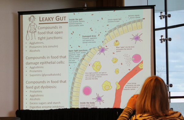 Sarah Ballantyne The Paleo Approach Leaky Gut slide