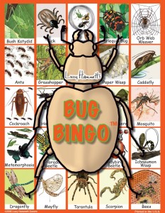 Bug Bingo