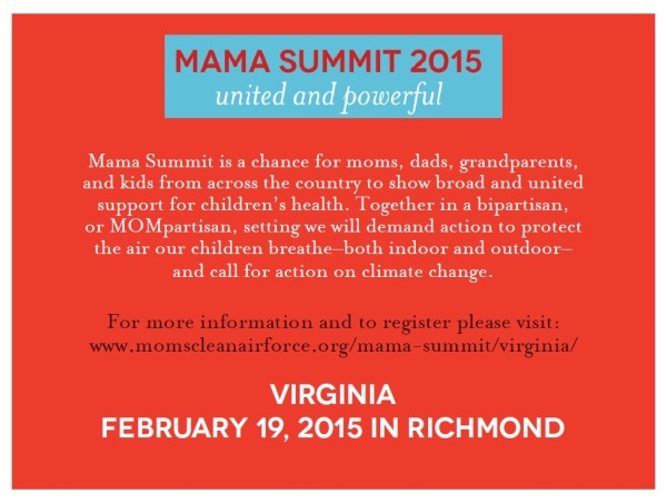 virginia_mama_summit_card