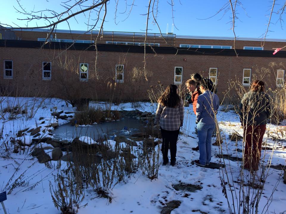 Marshall High School Fairfax tour of environmental features - Statesman Spring- with NoVA Outside