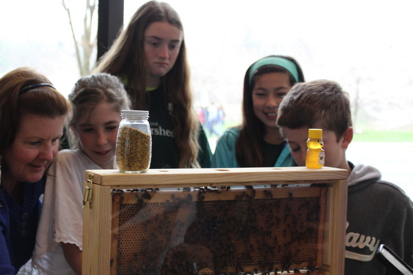 NoVA Outside School Environmental Action Showcase Hive Alive