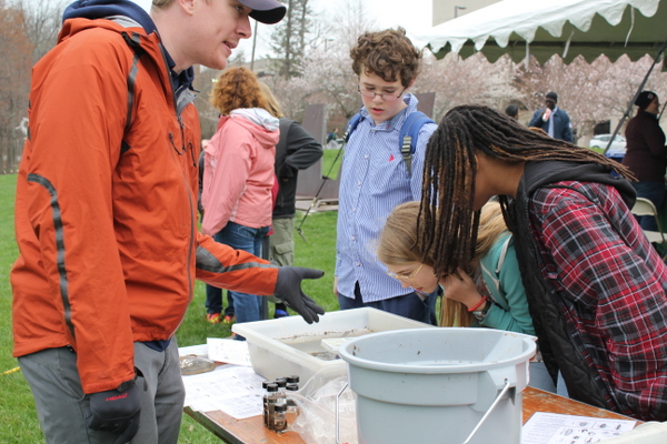 NoVA Outside School Environmental Action Showcase critters in water