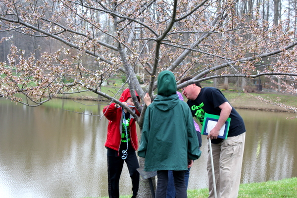 NoVA Outside School Environmental Action Showcase measuring tree