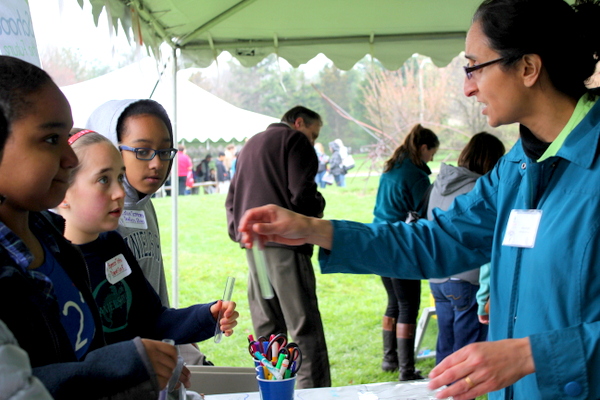 NoVA Outside School Environmental Action Showcase testing pH 2