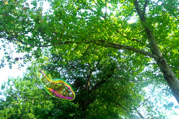 Potomac Crescent Waldorf School Waldorf Wonderdays - Mindful Healthy Life - bubble in trees