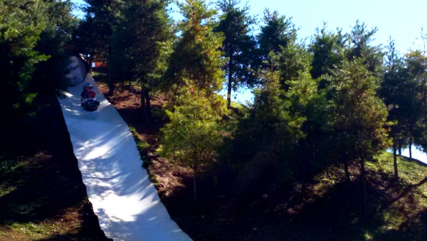 Crunchy-Chewy Mama siblings on pumpkin patch slide