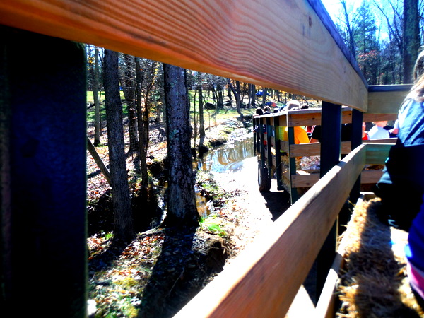 Ticonderoga Farms hayride through water