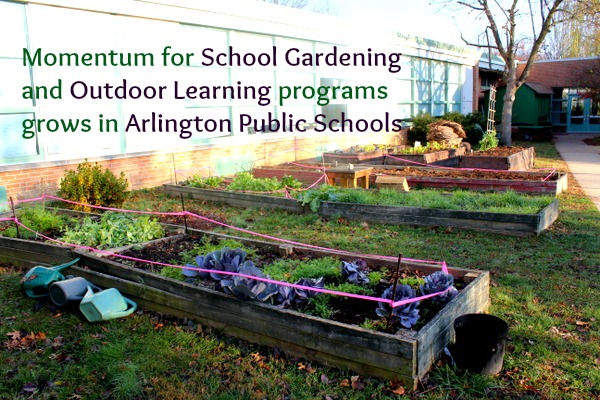 School Gardens gain momentum in Arlington Public Schools