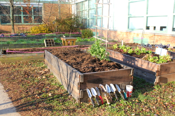 Campbell Elementary School courtyard gardens