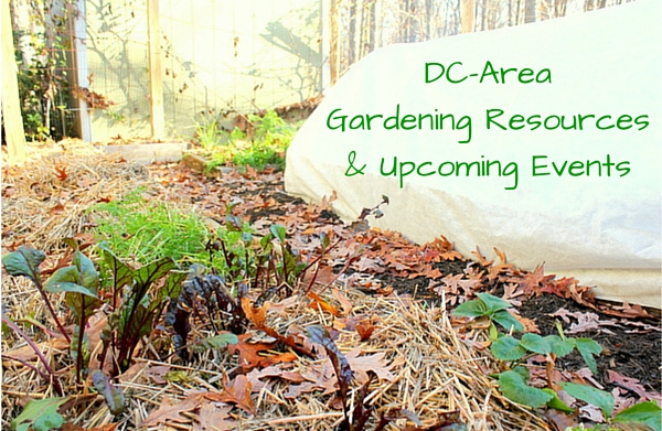 Gardening: a year-round affair! Local resources and upcoming events