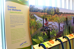 National Museum of the American Indian - -Wetlands - Mindful Healthy Life - Jessica Claire Haney