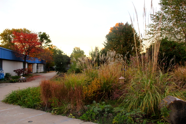 Patrick Henry Elementary School APS School Garden Meetup 3 November 2015