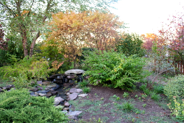 Patrick Henry Elementary School APS School Garden Meetup 4 November 2015