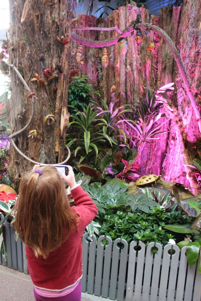 US Botanic Garden Pollinators 2015 Jessica Claire Haney - child taking photo