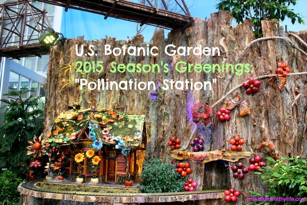 Pollination Station Exhibit at U.S. Botanic Garden is a must-see!