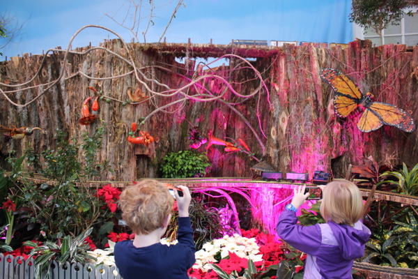 US Botanic Garden Pollinators 2015 Jessica Claire Haney - kids taking pictures