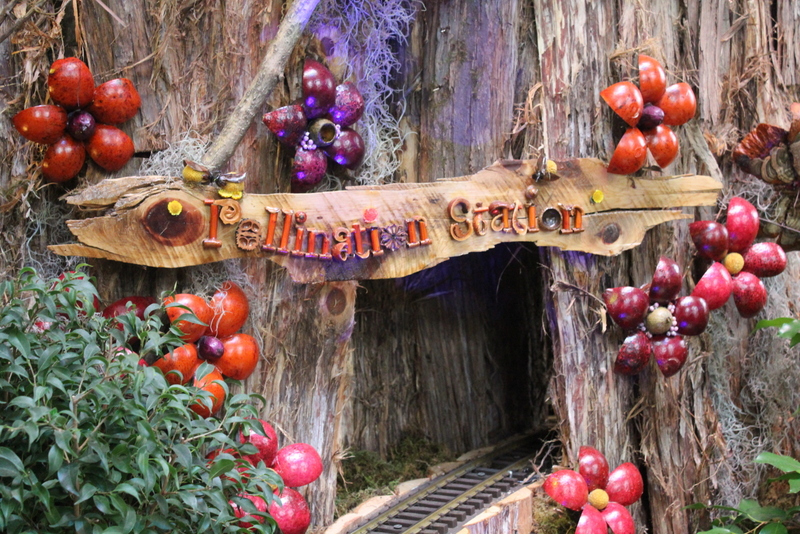 US Botanic Garden Pollinators 2015 Jessica Claire Haney - pollination station