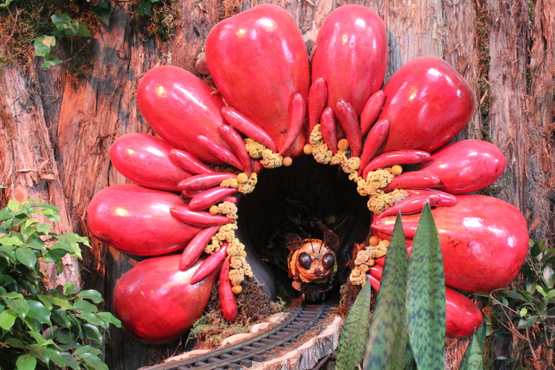 US Botanic Garden Pollinators 2015 Jessica Claire Haney