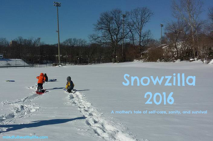 Surviving Snowzilla: an argument for self-care!