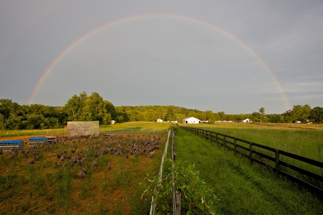 Whiffletree Farm rainbow
