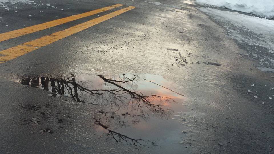 sunset in puddle