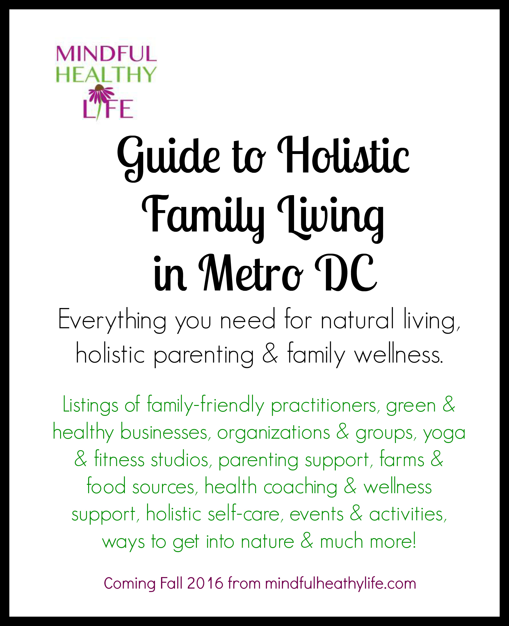 Mindful Healthy Life Guide to Holistic Family Living in Metro DC - book cover border