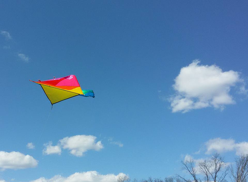 kite