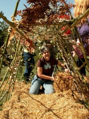 Outdoor Magic Nancy Striniste