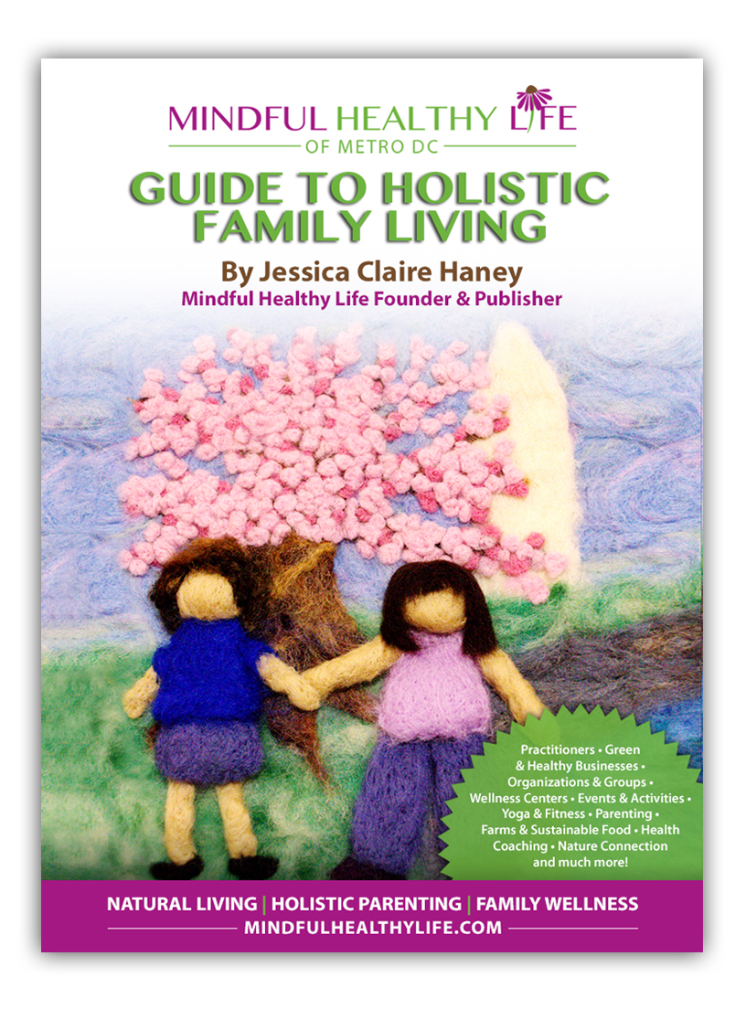 Mindful Healthy Life eBook Guide to Holistic Family Living cover