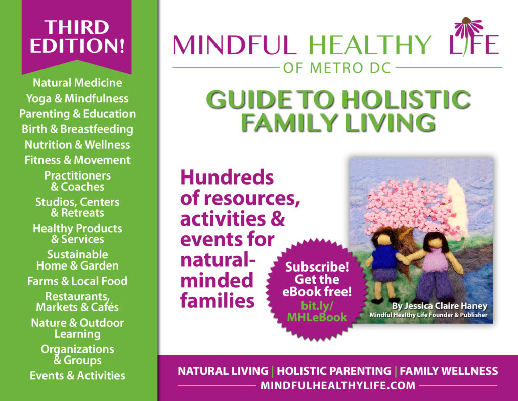 eBook Guide to Holistic Family Living card
