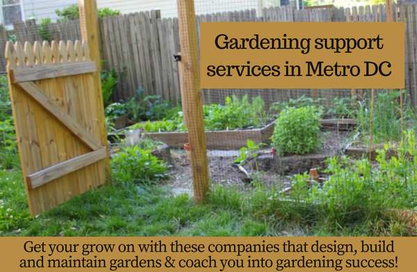 Local gardening companies help you get your garden in gear!